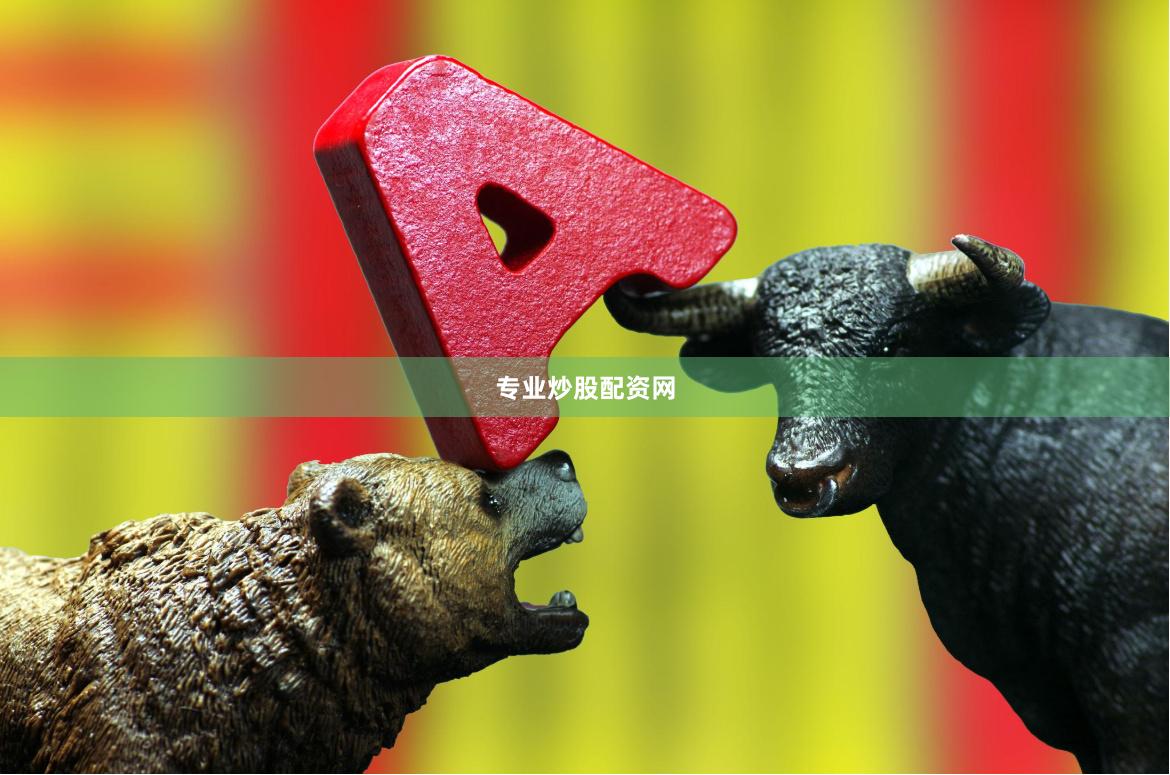 专业炒股配资网